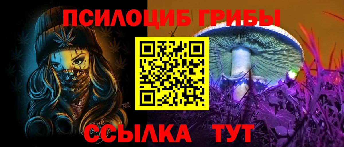 Галлюциногенные грибы Psilocybine cubensis Ярцево
