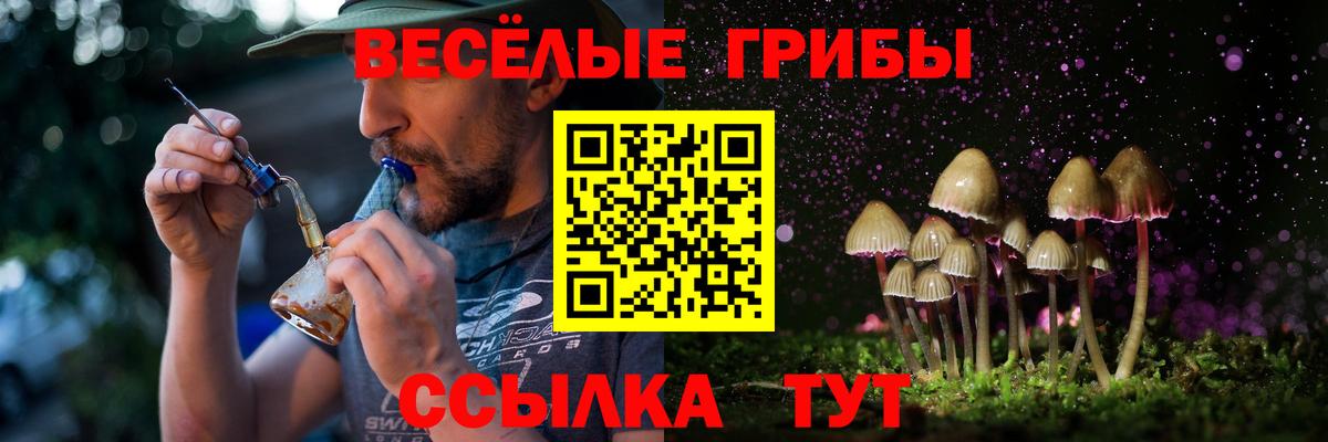 Ярцево  купить наркотики цена  Вход с VPN  Галлюциногенные грибы Psilocybine cubensis 